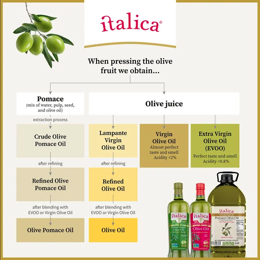 types of olive oil infographic